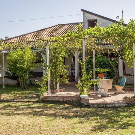 Villa Oidor - Cilento أسشيا المظهر الخارجي الصورة